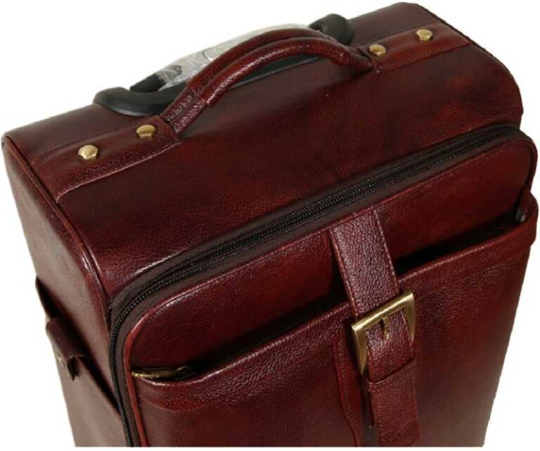 Small Cabin & Checkin Luggage (20 inch) Leather Accessories 46 Ltrs