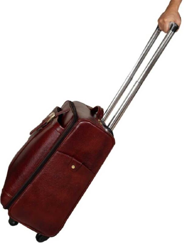 Small Cabin & Checkin Luggage (20 inch) Leather Accessories 46 Ltrs