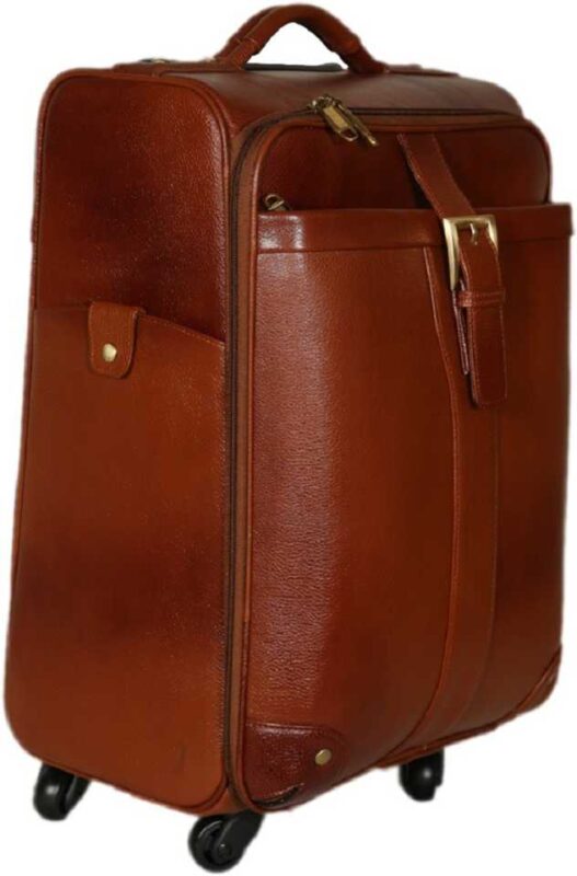 Small Cabin & Checkin Luggage (20 inch) Leather Accessories 46 Ltrs